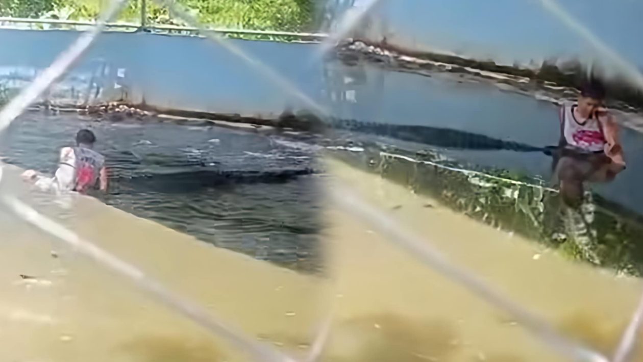 Lalaki, kinagat ng buwaya matapos pumasok sa kulungan